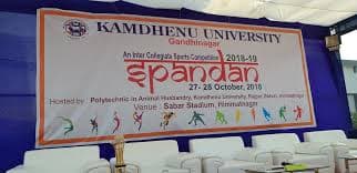 Kamdhenu University Gandhinagar Fest Life photo 9